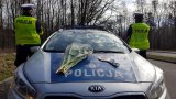 policjanci, radiowóz, tulipany i tarcza do zatrzymywania pojazdów
